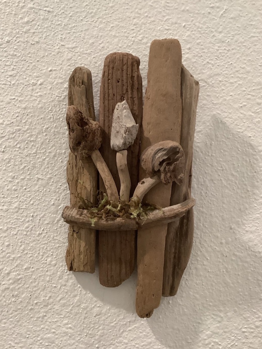 Driftwood Art , Driftwood Mushrooms, Mushroom Art, Driftwood Coastal Decor - Picture 4 of 5